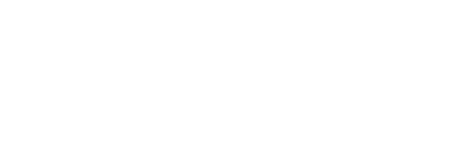 Leveraged Investments