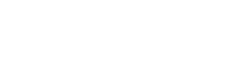 Lion Insurance